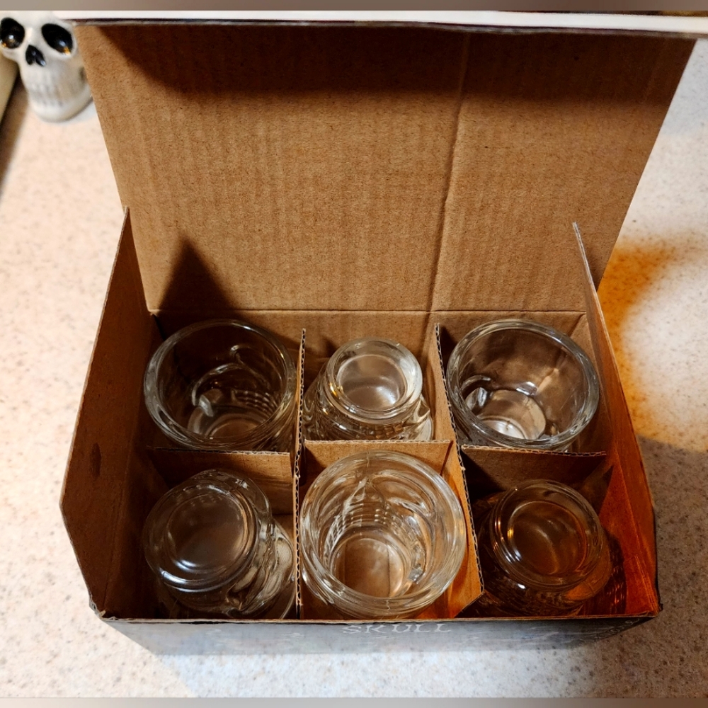 Set of 6 Skull Shot glasses NIB Circlewear clear glass shotglass - Picture 4 of 4
